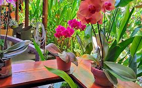 Bali Kembali Hotel